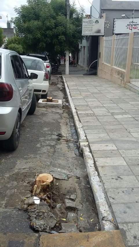 Poda-de-árvores-no-Centro-de-Caicó-1