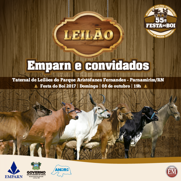 LEILÃO-MIDIAS-01