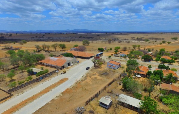 caatinga-grande
