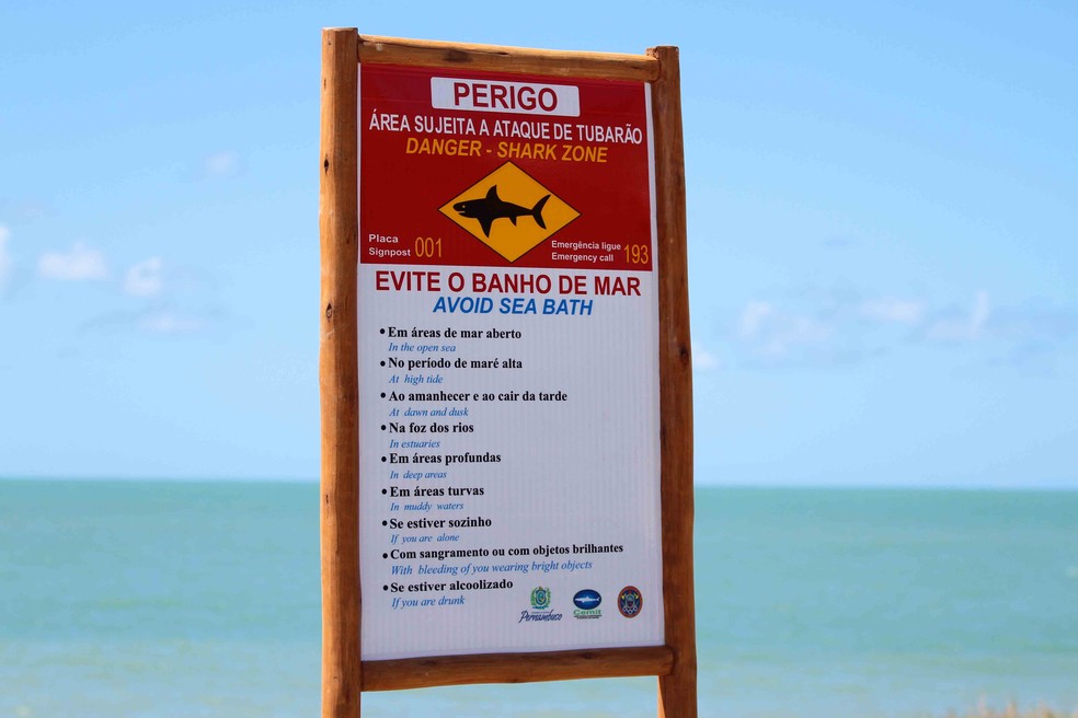 Grande Recife recebeu novas placas de alerta contra tubarÃµes em 2016 (Foto: Marlon Costa/Pernambuco Press)